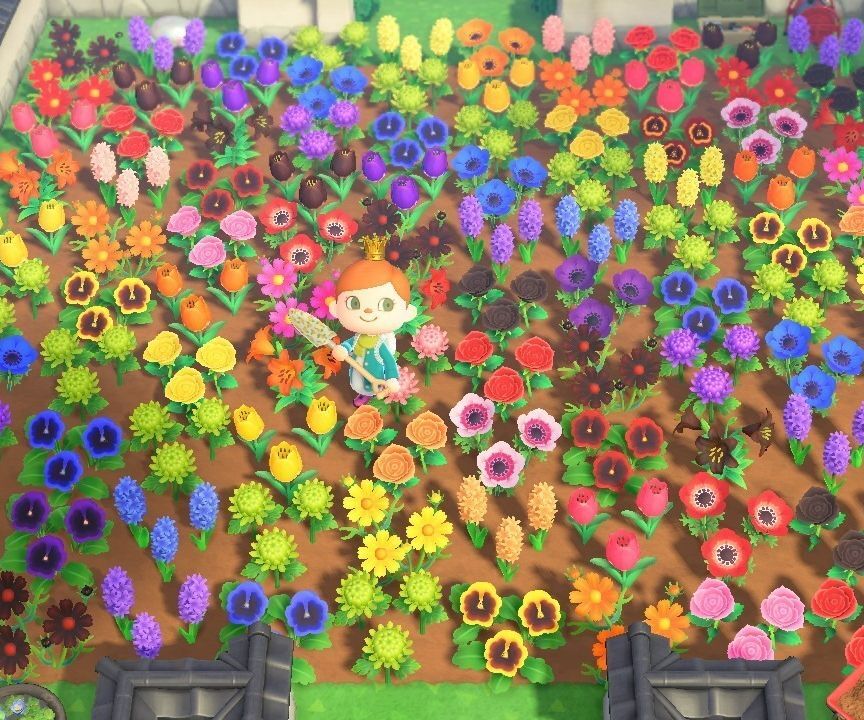 La hibridación y cultivo de flores es una de las principales actividades de Animal Crossing: New Horizon