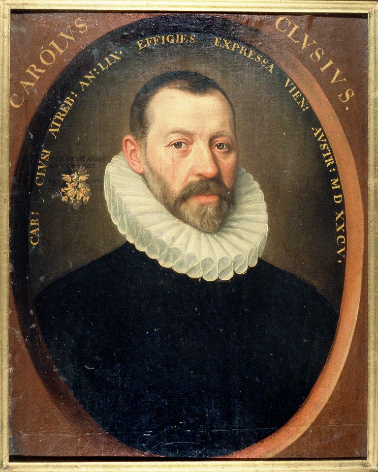 Retrato de Carolus Clusius por J. De Monte. Créditos de la imagen: University Libraries Leiden